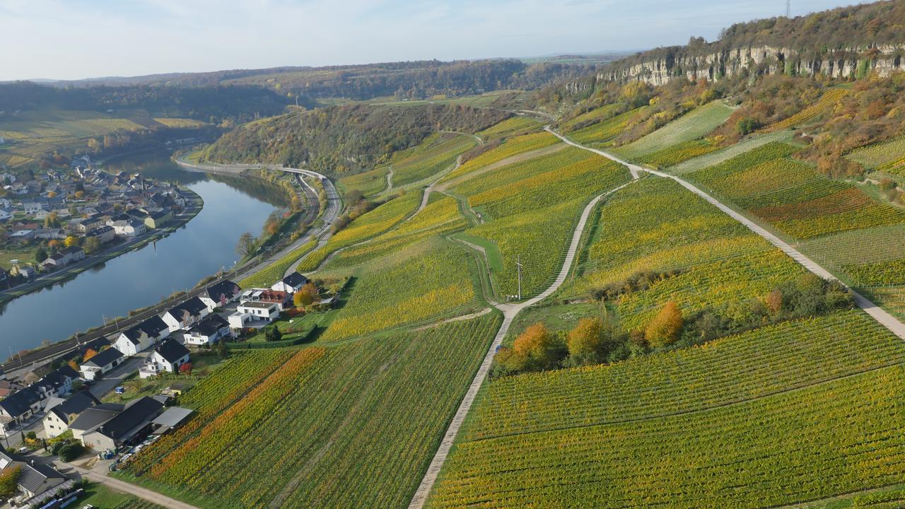 Weingut Und Gaestehaus Apel Nittel Exterior foto