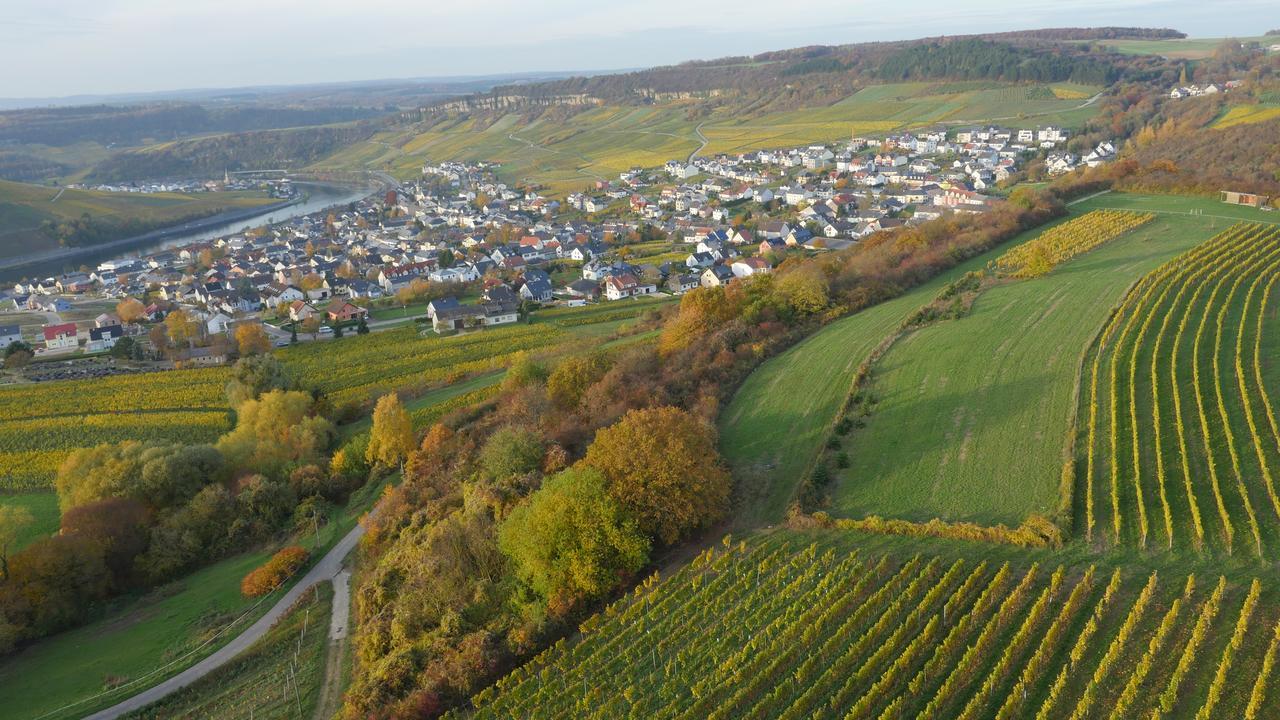 Weingut Und Gaestehaus Apel Nittel Exterior foto